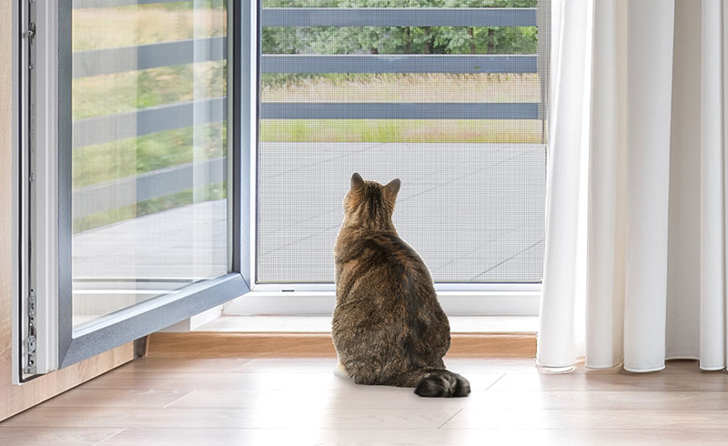 Bamboo roll up blinds